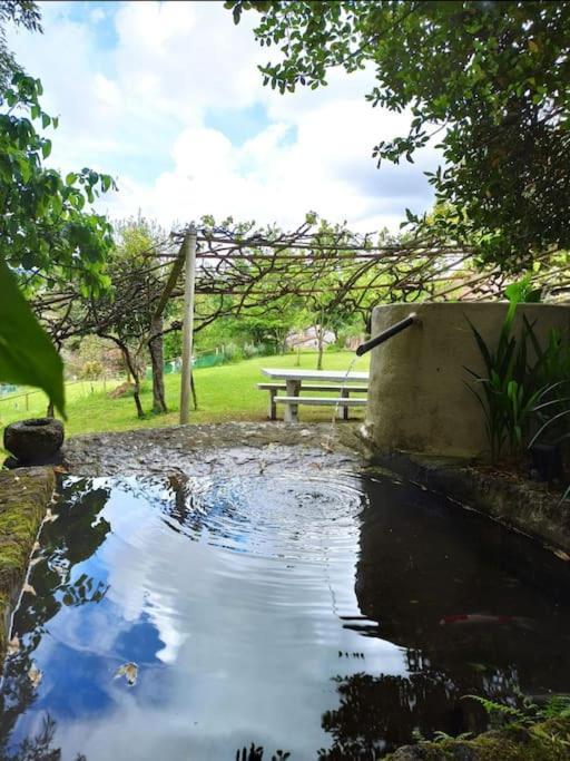 A Vina De Lina. Turismo Rural Con Piscina Y Finca. ポンテベドラ エクステリア 写真